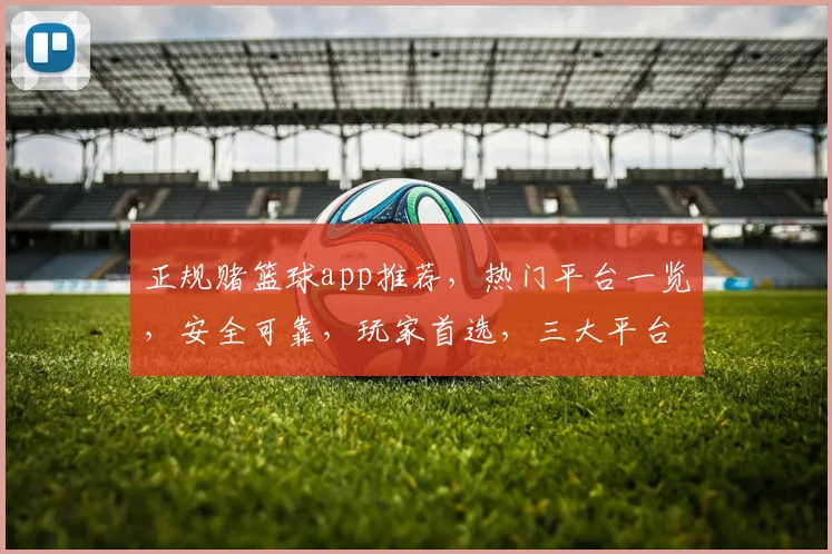 正规赌篮球app推荐，热门平台一览，安全可靠，玩家首选，三大平台对比