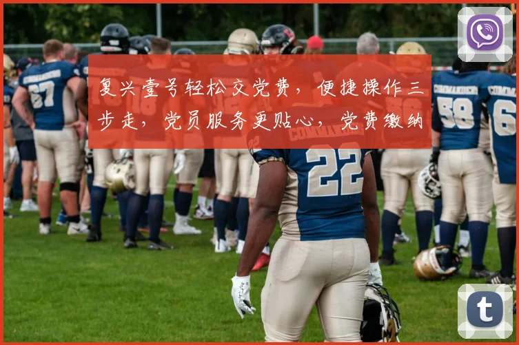 复兴壹号轻松交党费，便捷操作三步走，党员服务更贴心，党费缴纳不再难，一键完成，效率高